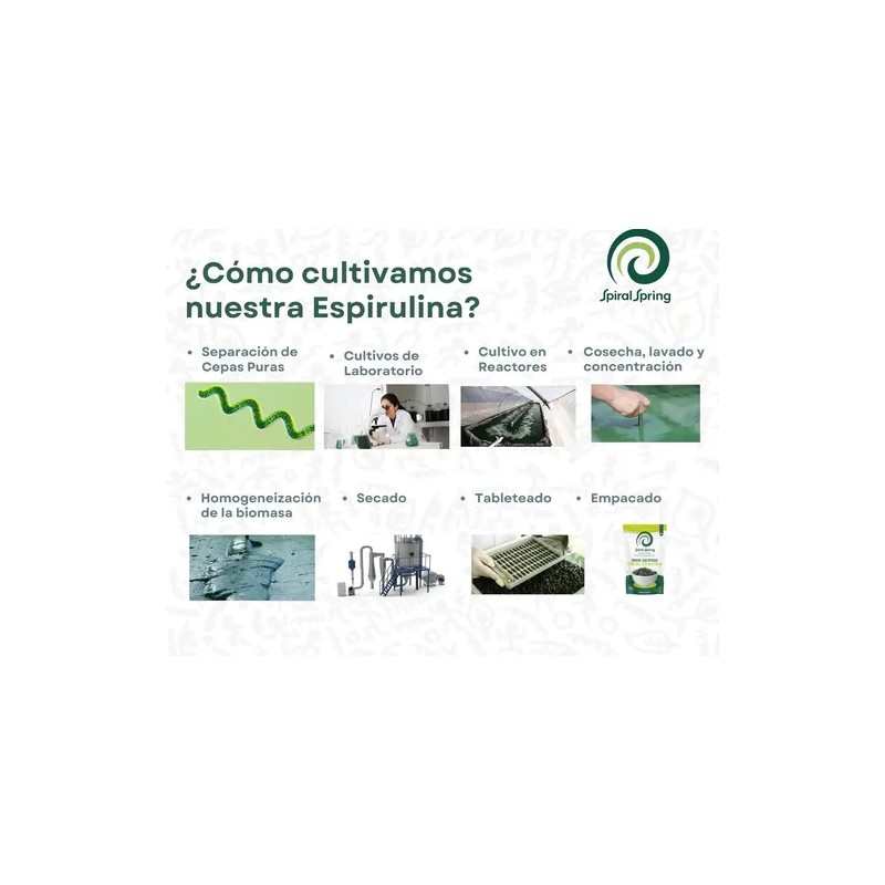 Alga Spirulina Máxima Orgánica 500 Bolitas Espirulina 3pack