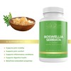 Lily Green | Boswellia Serrata 3360mg per Serving | 90