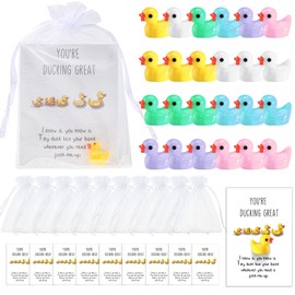 24 Sets Graduation Inspirational Gift Set You're Ducking Great Cheer Up Cards Thank You Gift Mini Resin Ducks with Organza Bags Bulk Pocket Favors for Students Coworkers (Multicolor, Classic Style)
