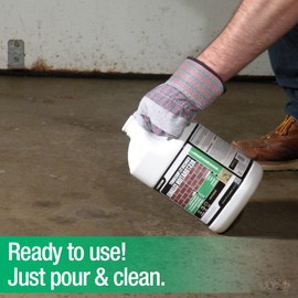 Akona Concrete/Masonry Restoration Cleaner - Clean & Restore Concrete, Masonry, Brick, Pavers, & More, Removes Efflorescence, Indoor or Outdoor, Multipurpose (1 Gallon, 1)