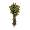 Oregano bunch organic wild sun dried from the Greek mountains,