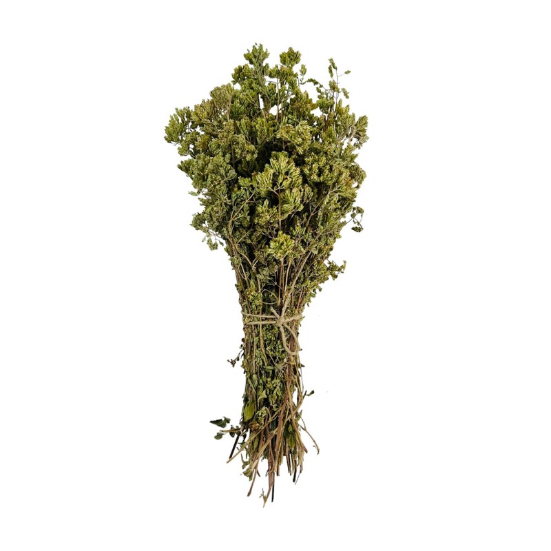 Oregano bunch organic wild sun dried from the Greek mountains,