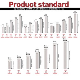 220Pcs 22 Kinds M2 M3 M4 M5 304 Stainless Steel Dowel Pin Cylindrical Shelf Support Peg Pin Rod Fasten Elements Assortment Kit