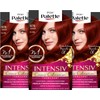 Palette Intensive Creme Colouration Hair Colour, 6-88/678, Ruby Red, Level