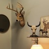 Zeckos 12 Point Buck Deer Head Bust Resin Wall Sculpture