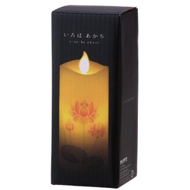 Kameyama S7687-00-00 Iroha Akari Lotus Compact Size S