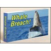 Fliptomania Whale Breach Flipbook