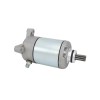 Soarider Trail Boss 330 Starter Motor for Polaris 2007-2013 3084981