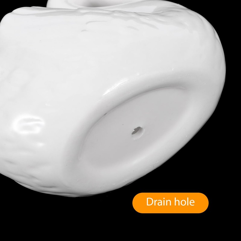 Yardwe Lovely Swan Ceramic Flowerpot with Drain Hole, White Porcelain