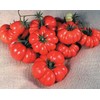 Costoluto Genovese The Ugly Tomato Seed