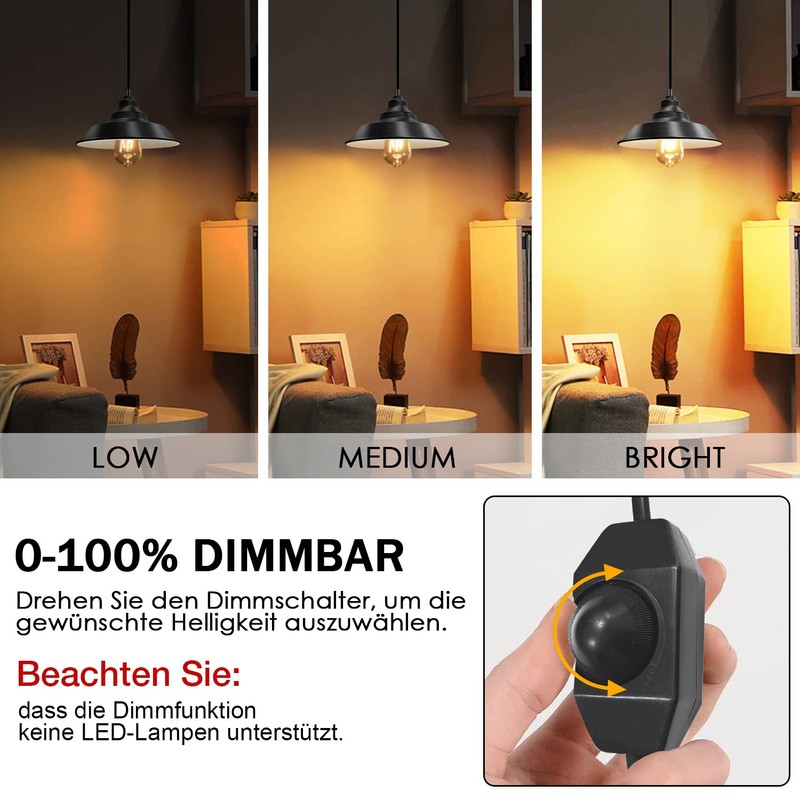 Metal Pendant Light Kit with Switch, Vintage Pendant Lamp with