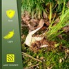 Hand Weeds Puller Stainless Steel Standing Weeder Gardening Accessory for