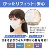 Iris Ohyama APN-60LW Pleated Masks, Non-Woven Fabric, Color Mask, Quantity: