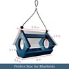 Backyard Essentials Petite Bluebird Feeder with Plexiglass Roof and Powder