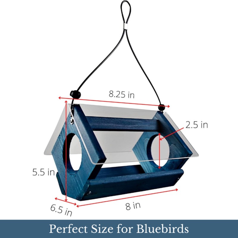 Backyard Essentials Petite Bluebird Feeder with Plexiglass Roof and Powder