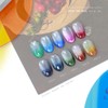 From the Nail Silver Magnetic Gel 5-piece set / 프롬더네일