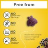 Zarbee’s Daily Immune Support* Gummies with Real Elderberry, Vitamins A,