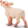 Safari Ltd. Playful Piglet Figurine - Lifelike 2" Model Figure