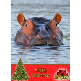 Hippo Christmas Card 'Happy Christmas' - Special Xmas Card for Him Her Kids Male Female