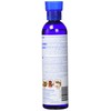 API TURTLE FIX Turtle Remedy 8-Ounce Bottle
