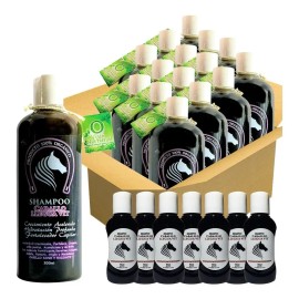 Shampoo Extracto Cola De Caballo 500ml 12 Pzs +12 Muestras