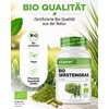 vit4ever Organic Barley Grass - 365 Capsules - Storage Pack