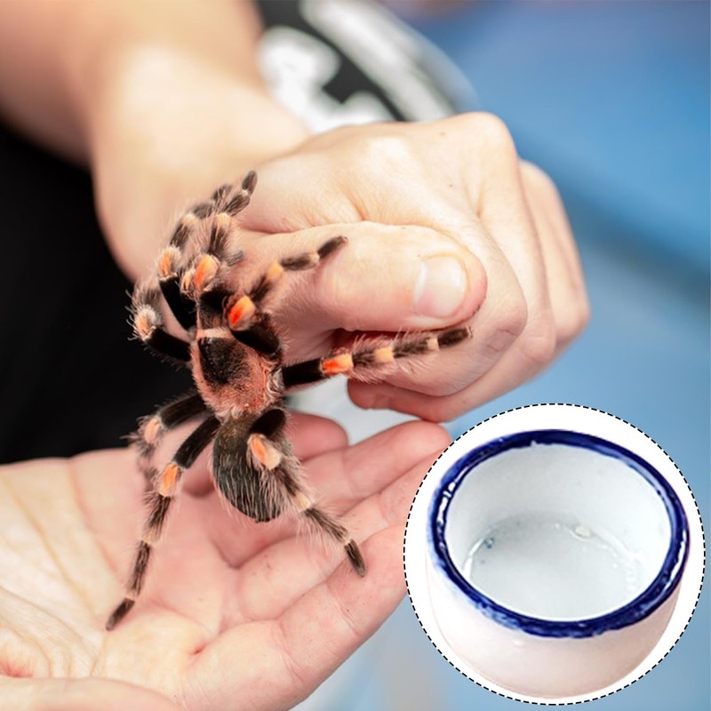 JNAWA Spider Micro Water Bowl Mini Ceramic Dish Reptile Water