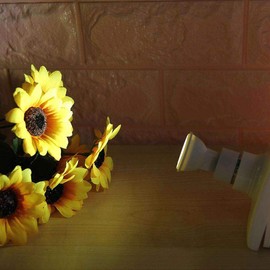 Noobibaba MR11 LED Bulb, MR11 GU4 LED 12 V Warm White 3 W 40 Degrees, Non-Dimmable 25 W Halogen Bulb Replaces Pack of 2