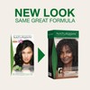 Naturigin Permanent Hair Color, 2.0 Black, Ammonia Free, 100% Gray