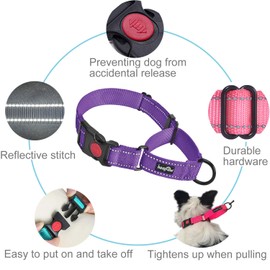 haapaw 2 Packs Martingale Dog Collar with Quick Release Buckle Reflective Dog Training Collars for Small Medium Large Dogs