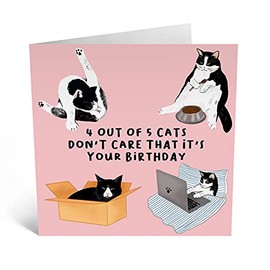 Central 23 - Funny Birthday Card for Him - '4 Out Of 5 Cats' - Cheeky Birthday Cards for Her - Brother Birthday Card - Sister Birthday Card - Comes with Fun Stickers