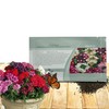 Outsidepride Mammoth Mix Verbena Seeds for Planting - 2000 Pcs.
