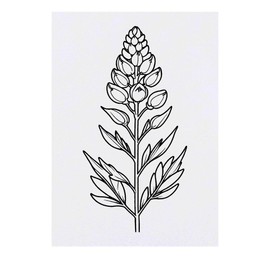 'Lupine Flower' Temporary Tattoo - Water Resistant, Skin-Safe, Non-Toxic Transfer (TO00078289)