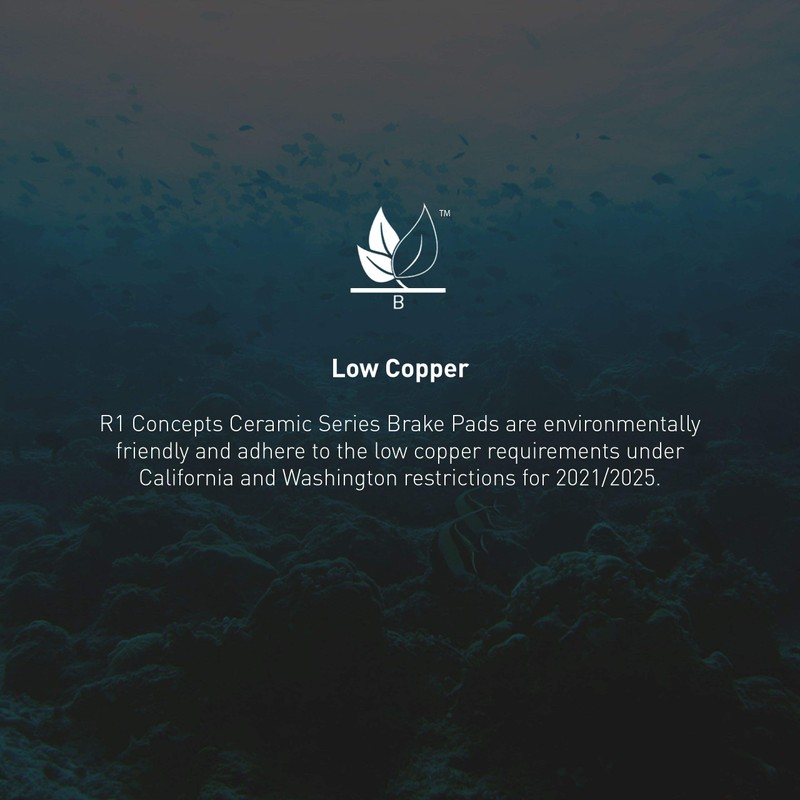 R1 Concepts Rear Ceramic Series Brake Pads With Rubber Steel