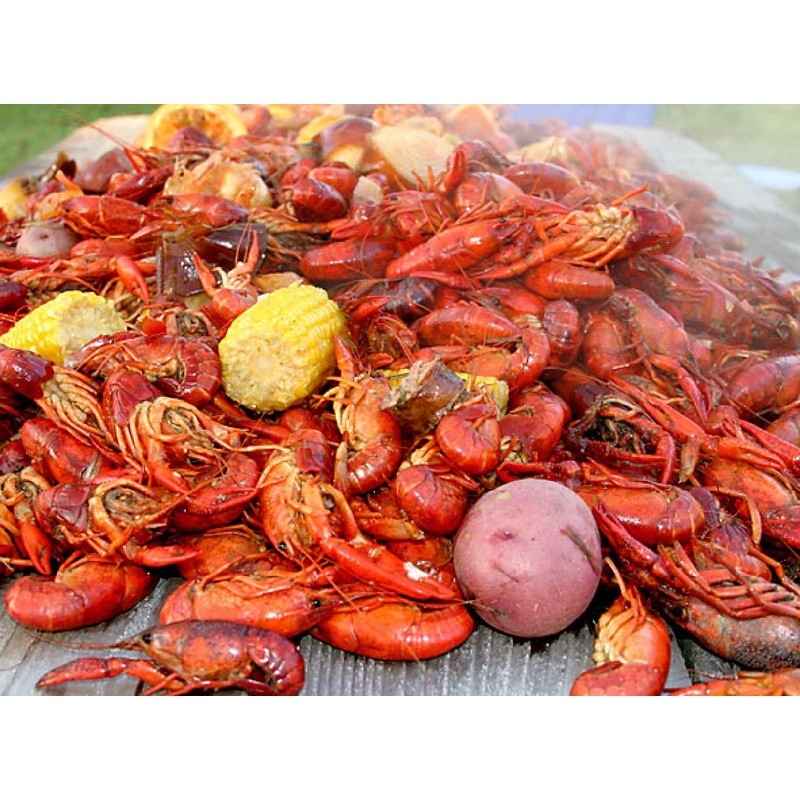 2 Gringos Chupacabra Cajun Seasoning Blend, 25 Ounces