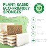AIRNEX Paquete de 10 esponjas de Cocina Naturales biodegradables –