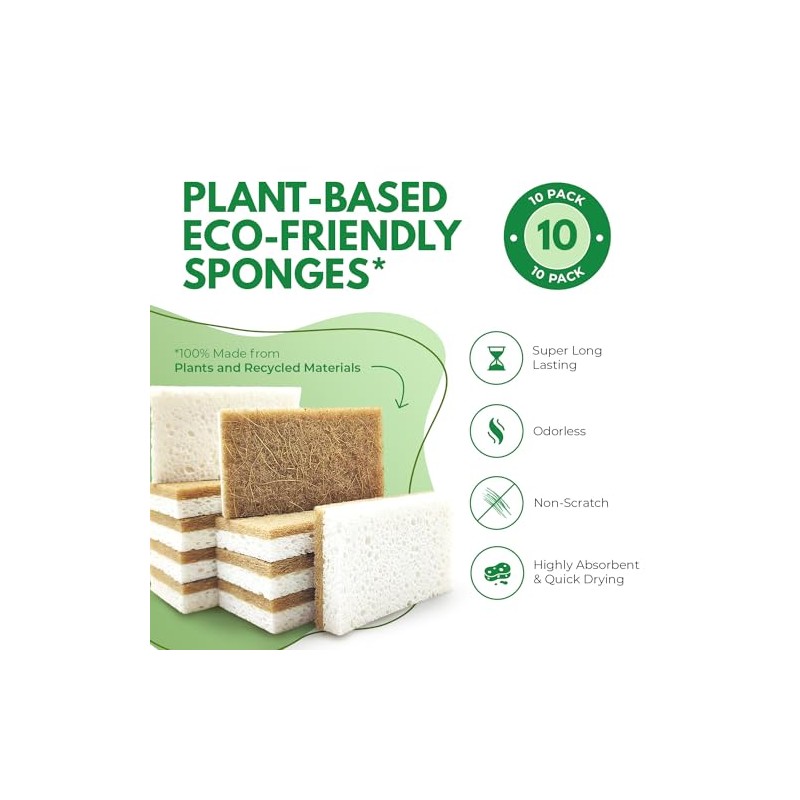AIRNEX Paquete de 10 esponjas de Cocina Naturales biodegradables –