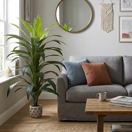 Artego Planta Artificial Decorativa Moderna con Maceta hogar Sala Comercio Oficina (Dracaena Palo de Brasil 150, 150cm)                               