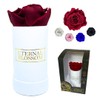 Eternal Blossom Preserved Real Infinity Rose | Eternal Rose That