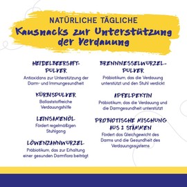 PupGrade Digestive Support Chews für Hunde – Hilft bei Magenverstimmung und Durchfall, unterstützt den Darm und das Immunsystem – Kürbis, Heidelbeeren, Leinsamenöl – 30 weiche Kausnacks