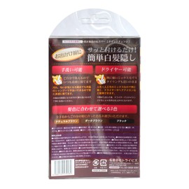 Unisex Gray Hair Hiding Volume Up Quick Change Black