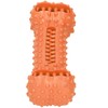 TPR Dog Teeth Cleaning Chew Toy Food Dispenser Brushing Stick