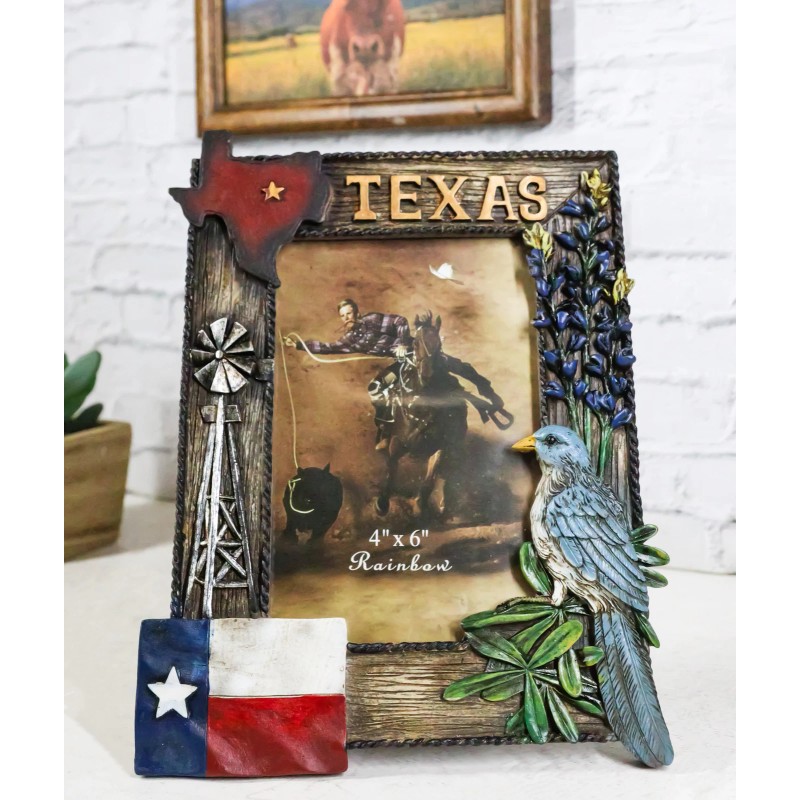 Ebros Gift Rustic Western Patriotic Texas Mockingbird Windmill Bluebonnets Picture