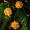 realideas Decorative Lantern Globe Rattan Wicker Ball String Lights -