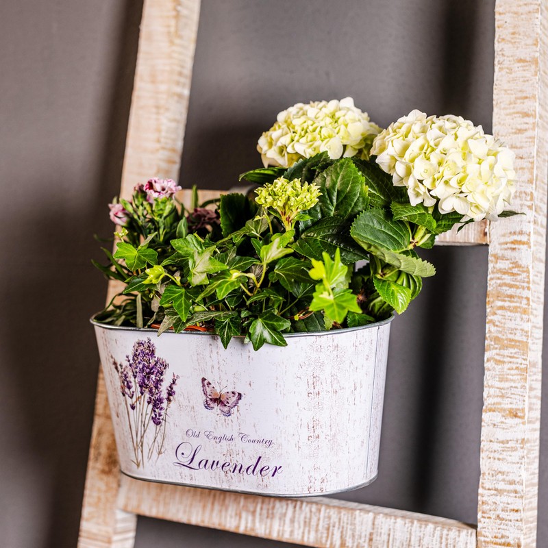 DARO DEKO Metal Hanging Pot with 2 Handles - 23