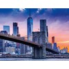 Ravensburger 16011 Skyline New York 2000 Piece Puzzle for Adults