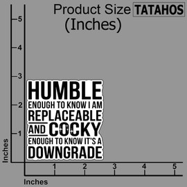 (3Pcs) Humble Enough to Know I Am Replaceable and Cocky Enough to Know It's a Downgrade Sticker – Confidence Quote Vinyl Decal for Water Bottles, Laptops, Mirrors – Gifts for Men, Women, Teens 3"x2.7"