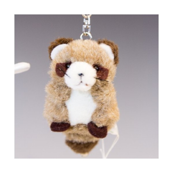 miniminikizzu Asiatic Raccoon