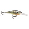 Rapala Shad Rap 09 Demon Lure, Multi, One Size (SR09DMN)