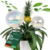 Netrox Watering Ball Automatic Plant Watering Water Dispenser Plants